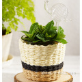 Paper String Plaited Glass Flower Pots paper string plaited flower pots planters glass pot Manufactory